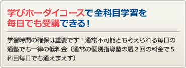 学び放題コースで全科目学習を毎日でも受講できる！